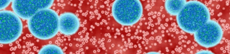 virus-attack-magnified